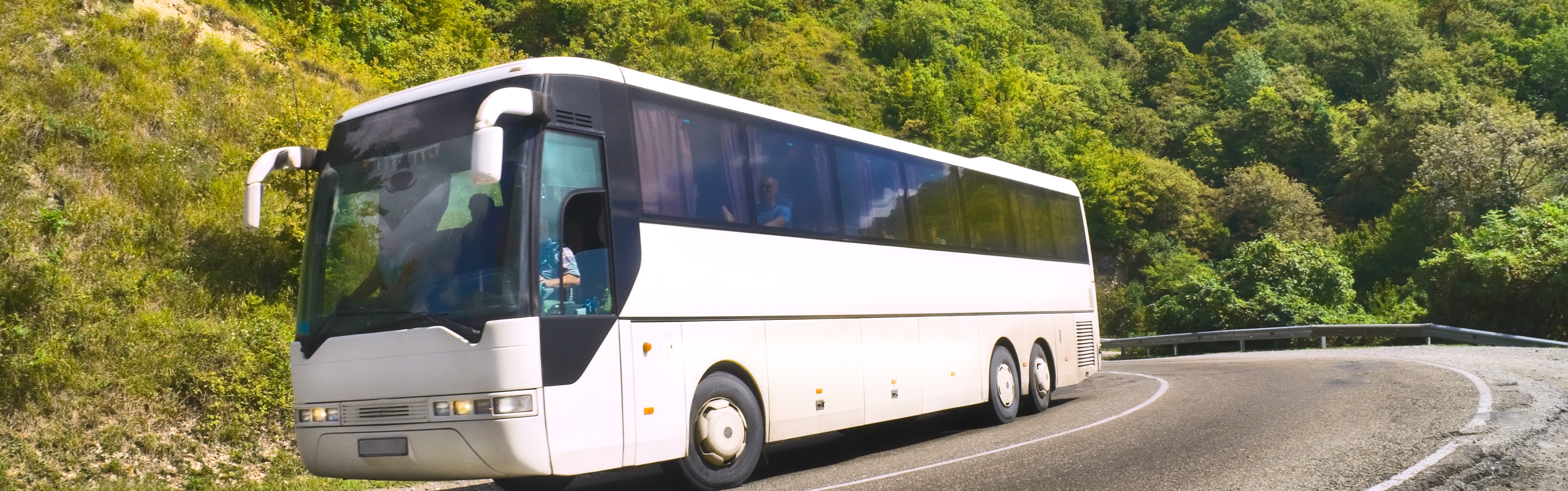 bus-banner